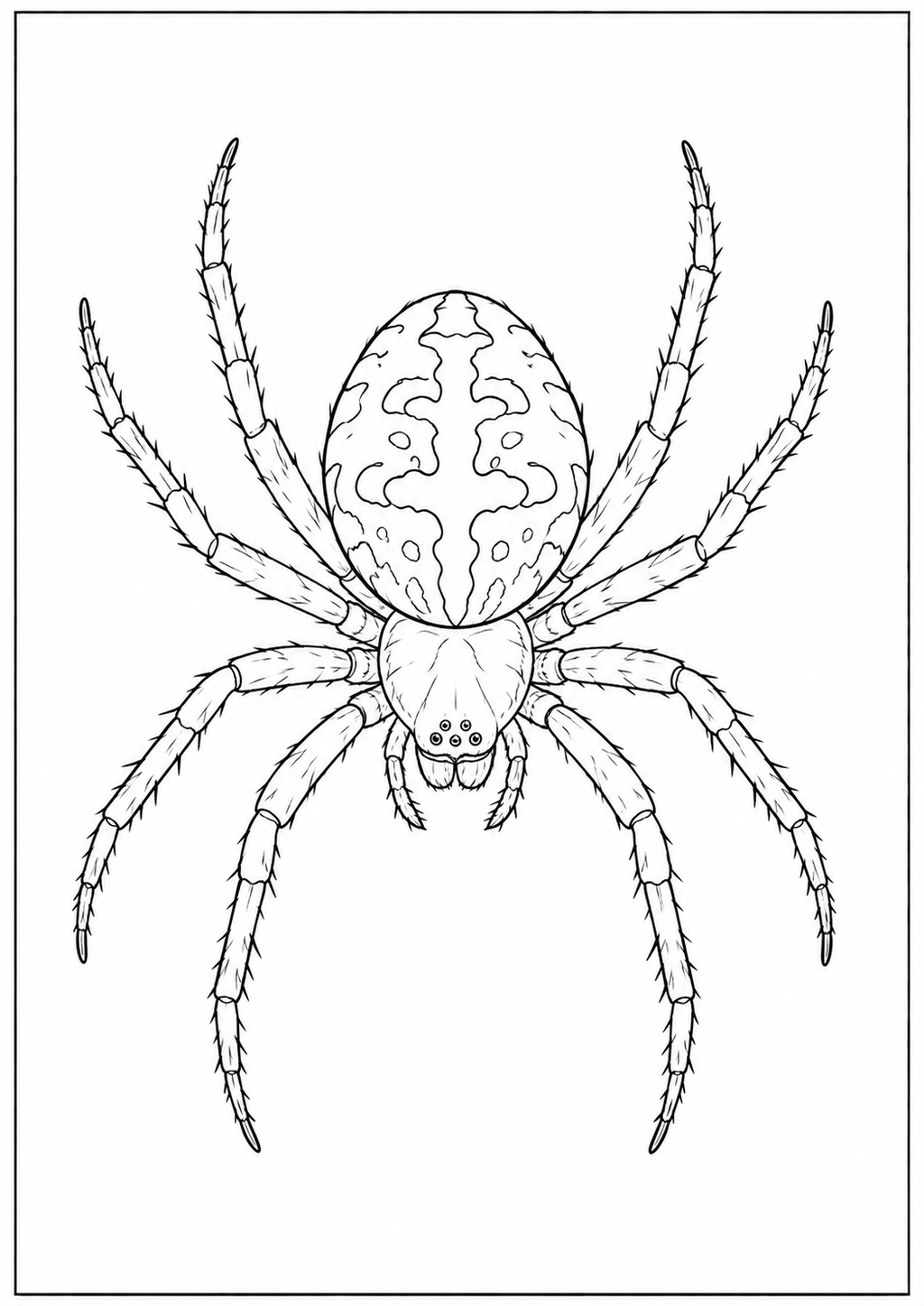 Farm Animals & Kids Animals - Kids Coloring Book