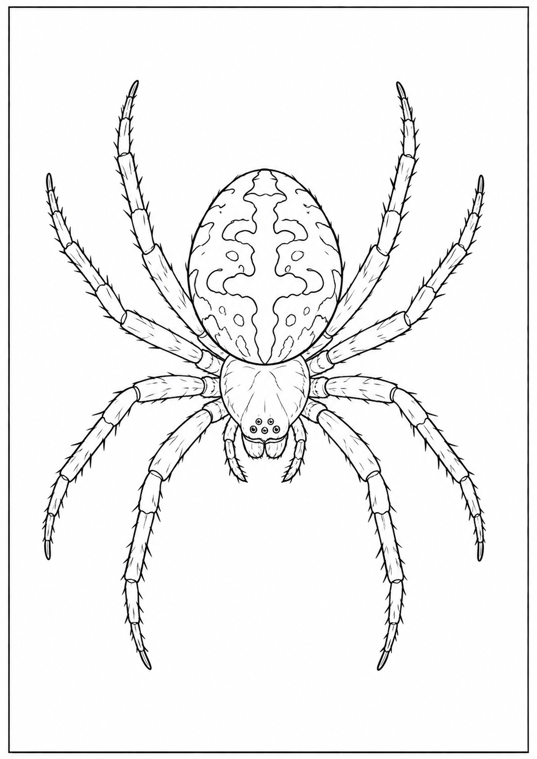 Farm Animals & Kids Animals - Kids Coloring Book