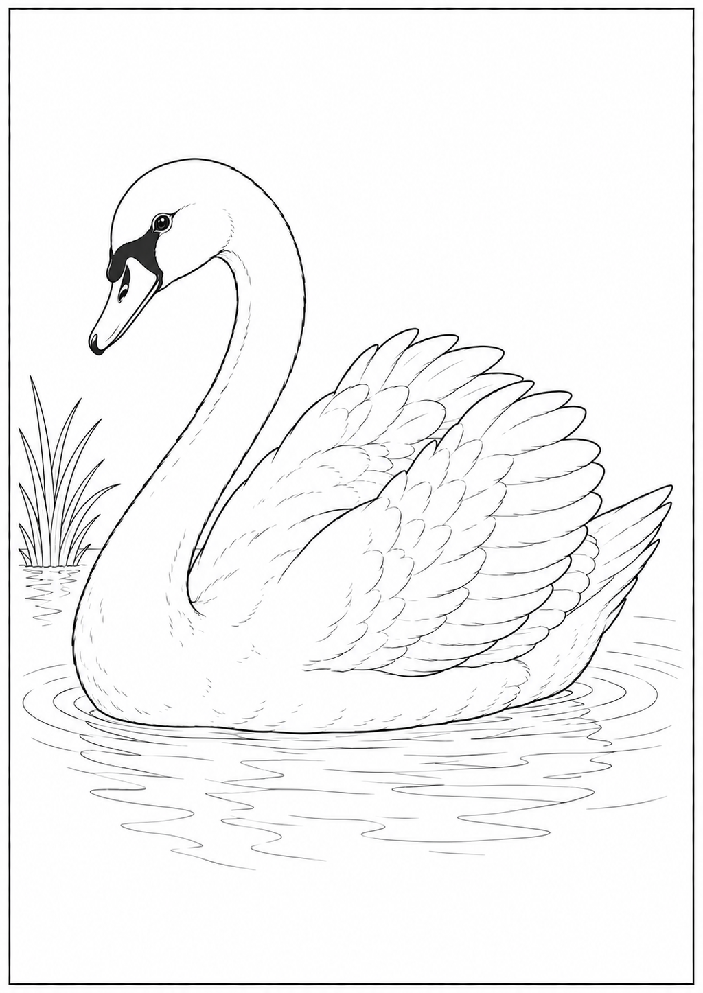 Farm Animals & Kids Animals - Kids Coloring Book