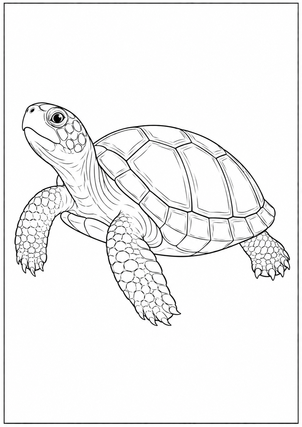 Farm Animals & Kids Animals - Kids Coloring Book